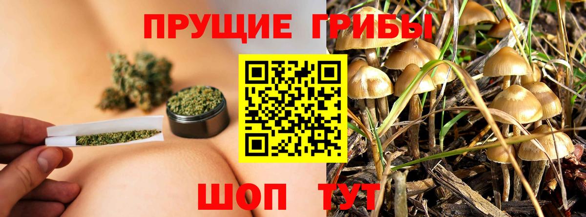Псилоцибиновые грибы прущие грибы Артём