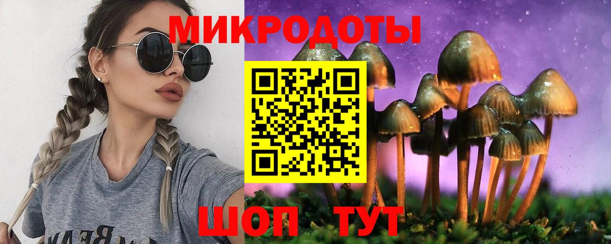 Артём  Галлюциногенные грибы Cubensis  Вход с VPN  где найти наркотики  Псилоцибиновые грибы GOLDEN TEACHER 
